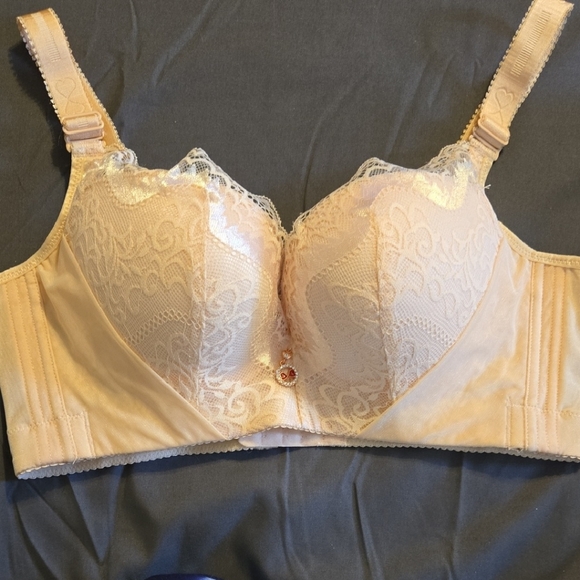 Pale Pink Beautiful Bra with Lace Detailing - Picture 1 of 5